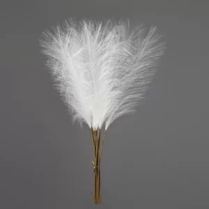 Buchet de pampas ecru
