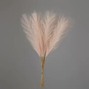 Buchet de pampas bej pudra