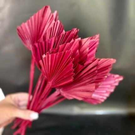 Frunze de palmier Rosu Mini