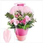 Folie pentru ghivece 60x34x14 cm 50buc/set