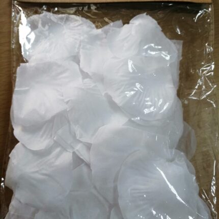 Petale trandafiri albe