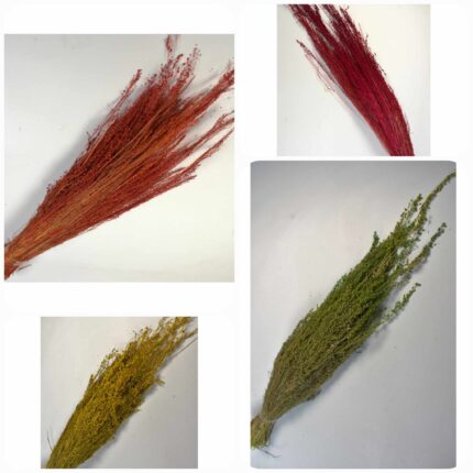 Iarba de stele 100 gr