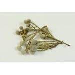 Brunia natural 160 gr