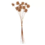 Pick ramuri ghimpe 12buc