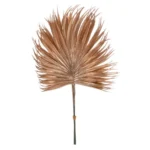 Pick frunze palmier 6 buc