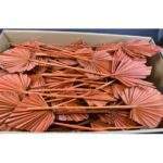 Frunza de palmier portocaliu mediu 100buc