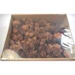 Trandafiri con cedru 3-5cm 2,5kg