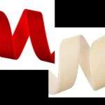 Panglica catifea 22mmx10m