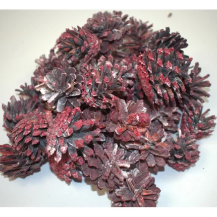 Con de tranadafir 1 kg Rosu