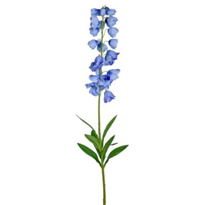 Campanula albastra 94 cm