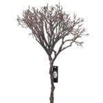 Creanga afine maro 37cm