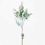 Eucalipt 40 cm
