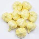 Usturoi decorativ 4 cm