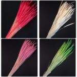 Planta uscata Phleum Pratensis 80 gr