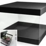 Set cutii Pandore transparente