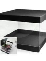 Set cutii Pandore transparente