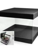 Set cutii Pandore transparente