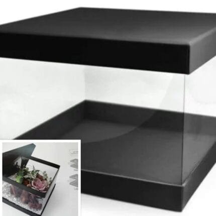 Set cutii Pandore transparente