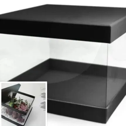 Set cutii Pandore transparente