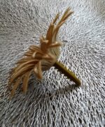 Capete margarete 9cm plastic