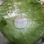 Suport buchet cu sisal 23cm verde