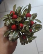 Pick buchetel vasc 13 cm