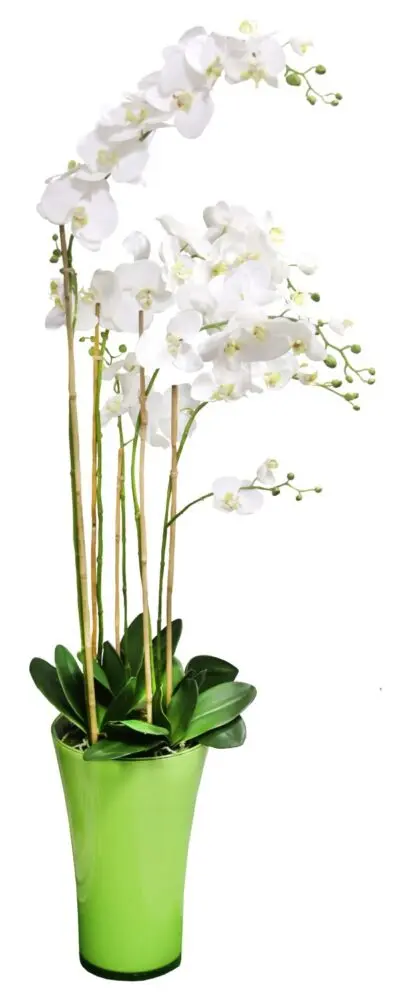 Vaza Fizzy Alb - imagine 2