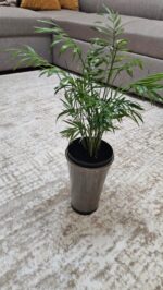 Vaza Fizzy Gri - imagine 7