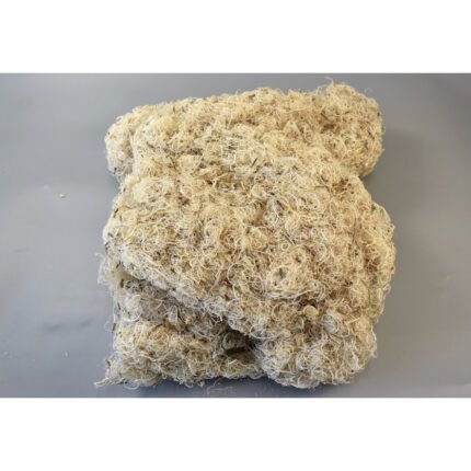 Curly Moss Albit 1 kg