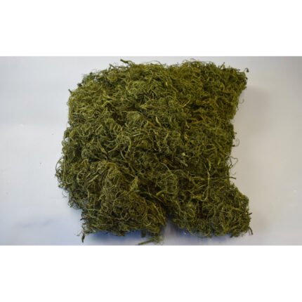 Curly moss verde 1 kg