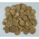 Felii de lemn 0.15 gr