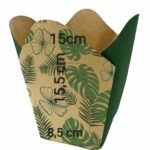 Cutie carton tip ghiveci Eureka