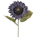 Floarea soarelui, înălțime 50 cm Albastru