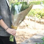 Celofan transparent 70x70cm 250buc