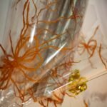 Celofan cu fundite 10 buc/set