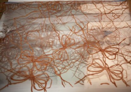 Celofan cu fundite 10 buc/set