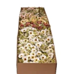 Buchet margarete 31 cm