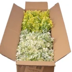 Buchet Eucalipt 35 cm