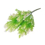 Tufa de Chiparos 35 cm/ Verde