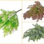 Tufa de Chiparos 35 cm