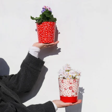 Cutie carton tip ghiveci Eureka - imagine 2