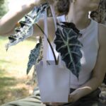 Geanta elegantă de carton Duo