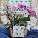 Set 10 cutii florale Simply–carton - imagine 2