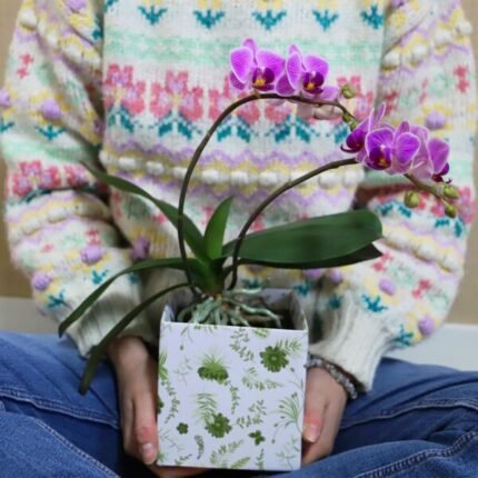 Set 10 cutii florale Simply–carton - imagine 2