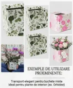 Set 10 cutii florale Simply–carton