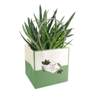 Geantă de carton Mood