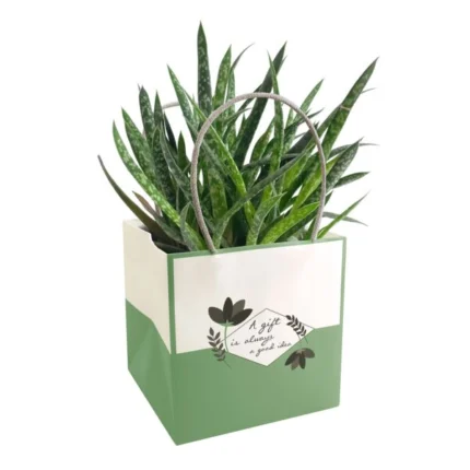 Geantă de carton Mood