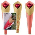 Ambalaj Kraft flori la fir 50buc/set