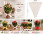 Ambalaj transparent 25x12x4cm/1000buc