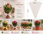 Ambalaj transparent 25x12x4cm/1000buc